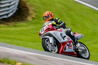 PJ-Motorsport-2019;anglesey;brands-hatch;cadwell-park;croft;donington-park;enduro-digital-images;event-digital-images;eventdigitalimages;mallory;no-limits;oulton-park;peter-wileman-photography;racing-digital-images;silverstone;snetterton;trackday-digital-images;trackday-photos;vmcc-banbury-run;welsh-2-day-enduro